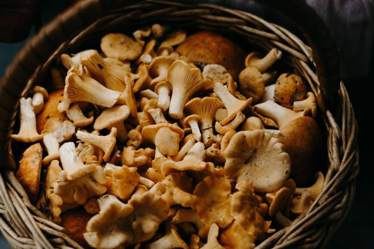 BénacPyrenees Hideaway别墅 外观 照片